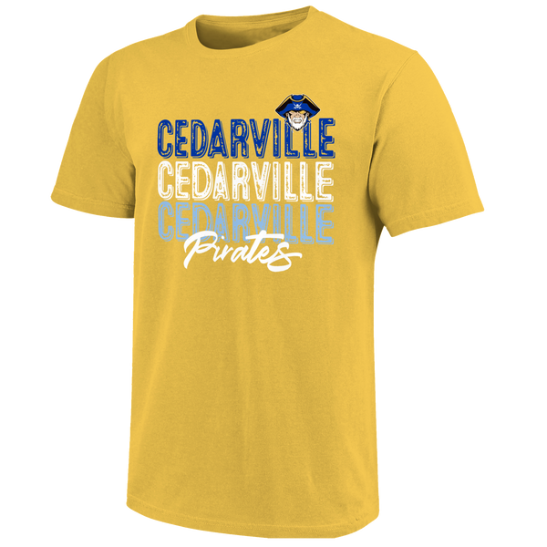 Cedarville Pirates Stacked School Unisex Cotton T-Shirt