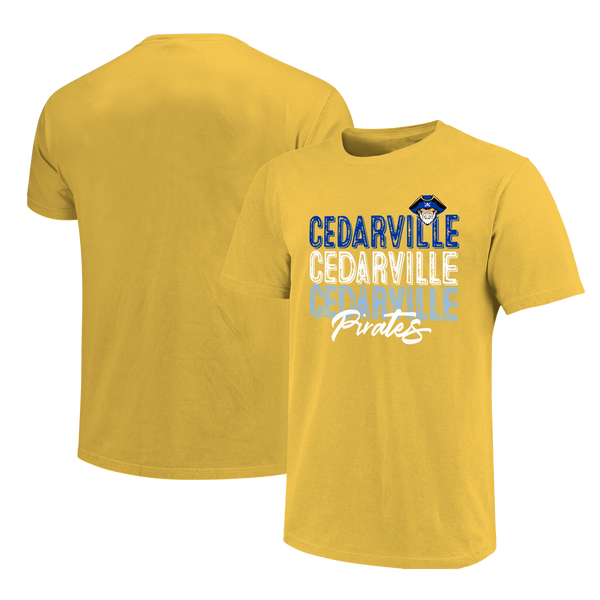 Cedarville Pirates Stacked School Unisex Cotton T-Shirt