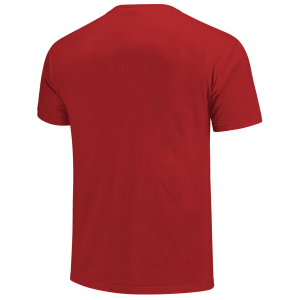 Farmington Cardinals Simple Script Outline Comfort Color T-Shirt